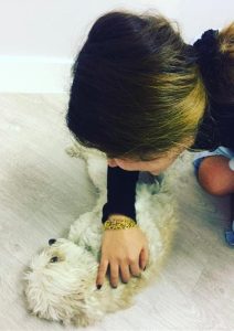 dogs curing anxiety